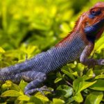 男生和女生那个的视频 jsro1